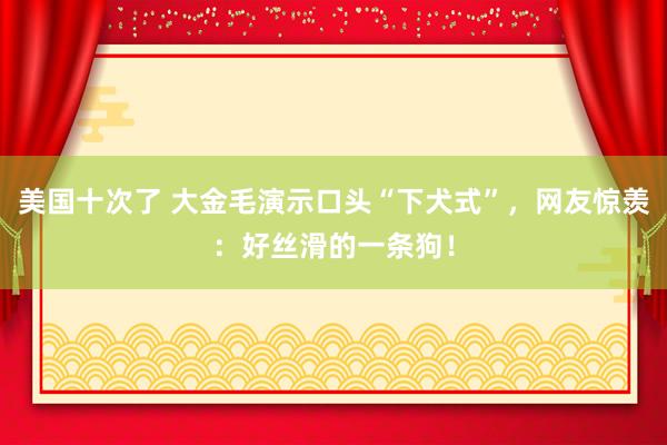 美国十次了 大金毛演示口头“下犬式”，网友惊羡：好丝滑的一条狗！