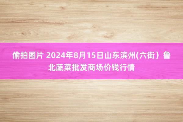偷拍图片 2024年8月15日山东滨州(六街)鲁北蔬菜批发商场价钱行情