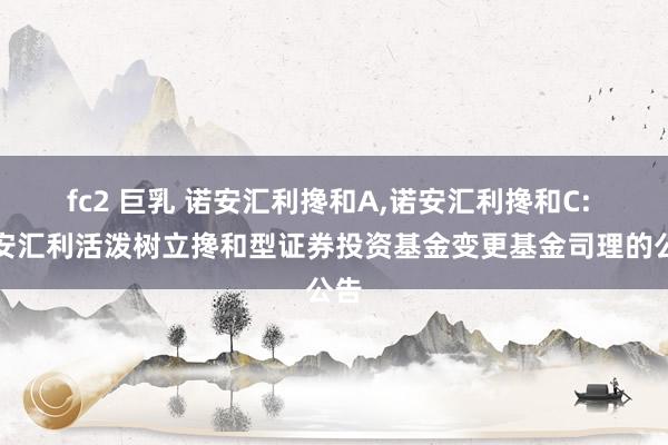 fc2 巨乳 诺安汇利搀和A,诺安汇利搀和C: 诺安汇利活泼树立搀和型证券投资基金变更基金司理的公告