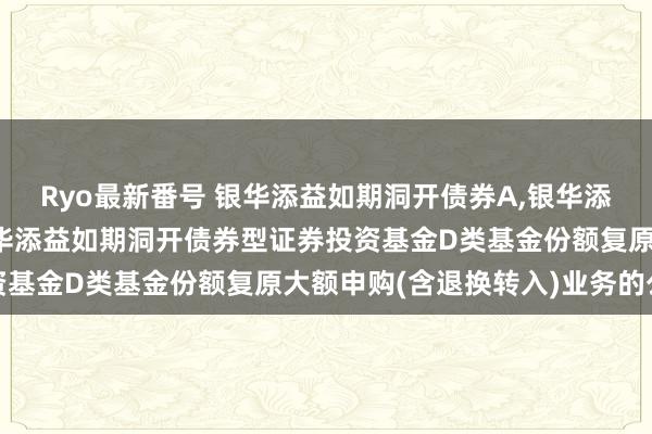 Ryo最新番号 银华添益如期洞开债券A,银华添益如期洞开债券D: 银华添益如期洞开债券型证券投资基金D类基金份额复原大额申购(含退换转入)业务的公告