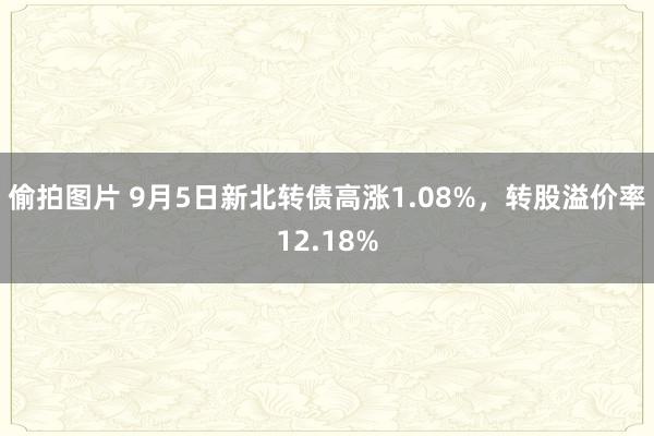 偷拍图片 9月5日新北转债高涨1.08%，转股溢价率12.18%