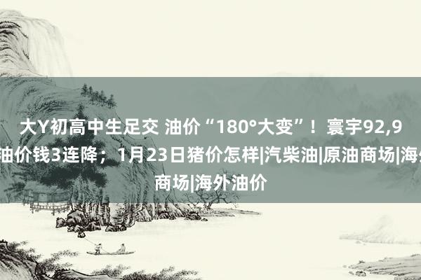 大Y初高中生足交 油价“180°大变”！寰宇92,95号汽油价钱3连降；1月23日猪价怎样|汽柴油|原油商场|海外油价