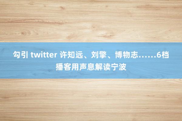 勾引 twitter 许知远、刘擎、博物志……6档播客用声息解读宁波