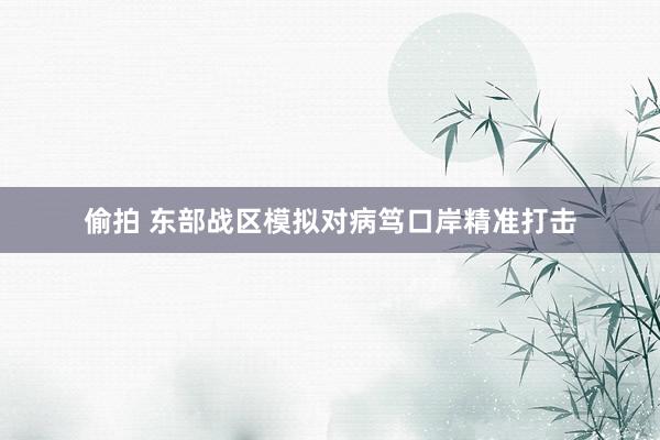 偷拍 东部战区模拟对病笃口岸精准打击