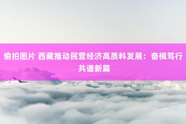 偷拍图片 西藏推动民营经济高质料发展：奋楫笃行 共谱新篇
