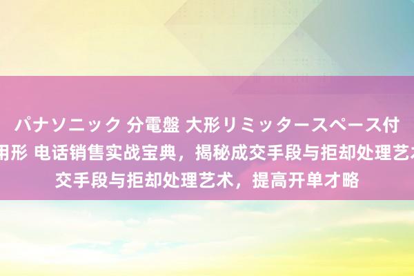 パナソニック 分電盤 大形リミッタースペース付 露出・半埋込両用形 电话销售实战宝典，揭秘成交手段与拒却处理艺术，提高开单才略