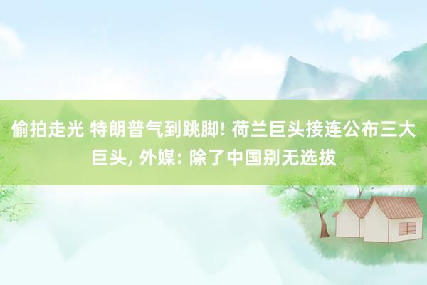 偷拍走光 特朗普气到跳脚! 荷兰巨头接连公布三大巨头, 外媒: 除了中国别无选拔
