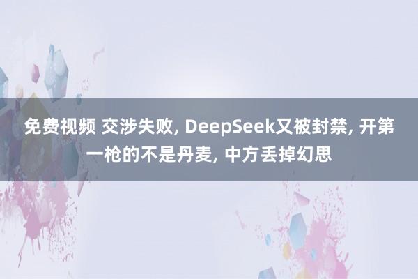免费视频 交涉失败, DeepSeek又被封禁, 开第一枪的不是丹麦, 中方丢掉幻思