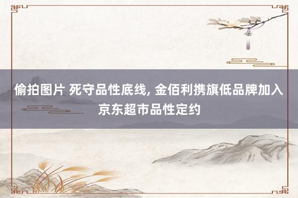 偷拍图片 死守品性底线, 金佰利携旗低品牌加入京东超市品性定约
