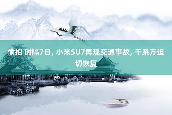 偷拍 时隔7日, 小米SU7再现交通事故, 干系方迫切恢复