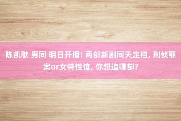 陈凯歌 男同 明日开播! 两部新剧同天定档, 刑侦罪案or女特性谊, 你想追哪部?