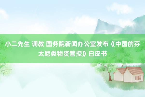 小二先生 调教 国务院新闻办公室发布《中国的芬太尼类物资管控》白皮书